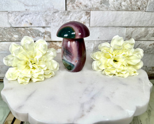 Ocean Jasper Collection 1